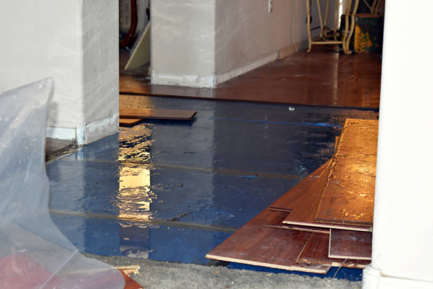 Professional Burst Pipe Cleanup technician working in Belleville, NJ
