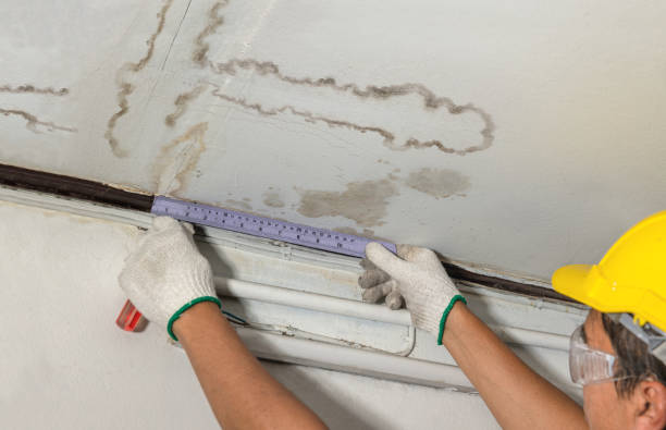 Reliable Burst Pipe Cleanup contractor in Belleville, NJ by Water Damage Irwin